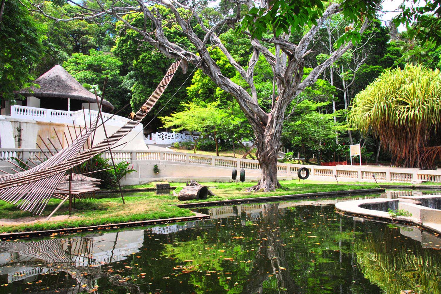 Parque-Arruda-Câmara-01