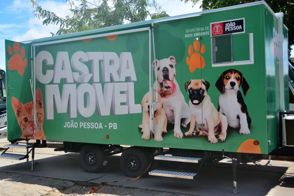 CASTRAMOVEL-JPEG
