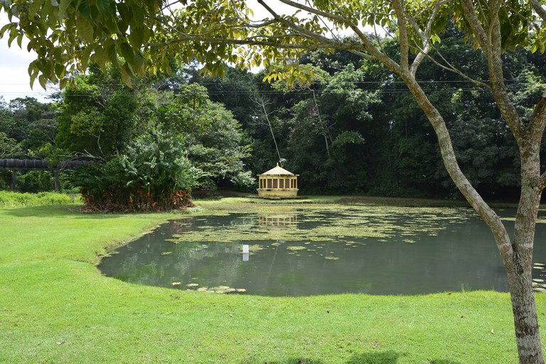 JARDIM-BOTANICO