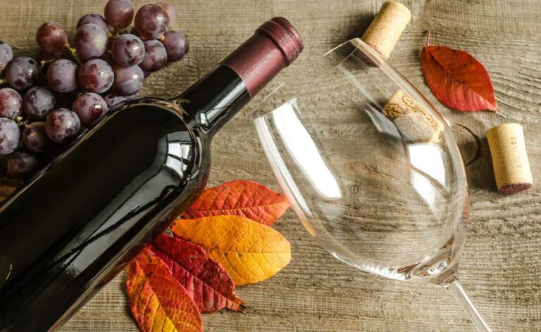 vinhos-para-o-outono