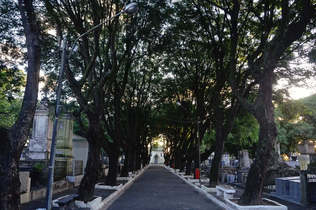 CEMITERIO_DA_BOA_SENTENCA_FOTO_KLEIDE_TEIXEIRA_-13-scaled-1