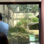 Imagem do WhatsApp de 2025-11-30 à(s) 10.01.24_96938a01