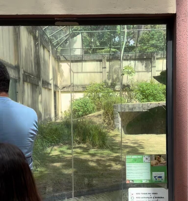 Imagem do WhatsApp de 2025-11-30 à(s) 10.01.24_96938a01