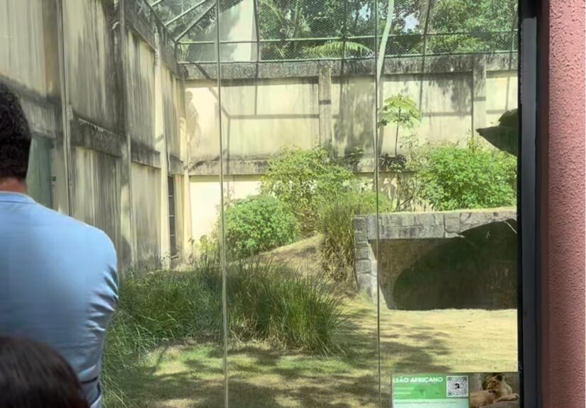 Imagem do WhatsApp de 2025-11-30 à(s) 10.01.24_96938a01