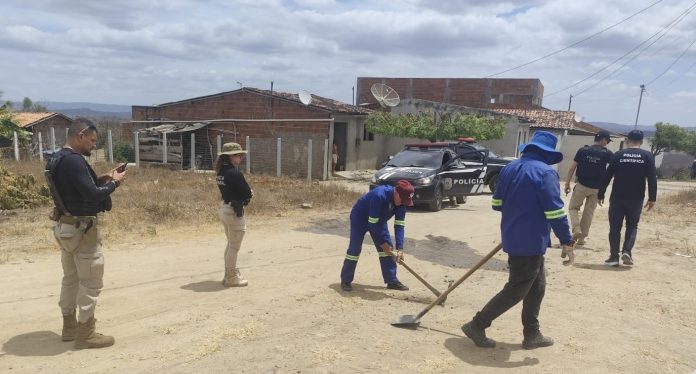 WhatsApp-Image-2025-12-09-at-17.24.52-696x374