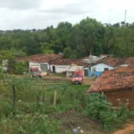 corposemcabeca-696x719