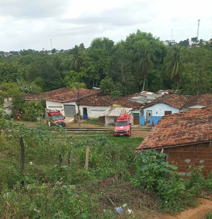 corposemcabeca-696x719