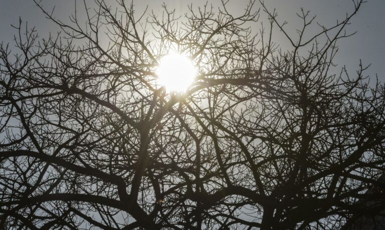 seca_mcajr_abr2807221085