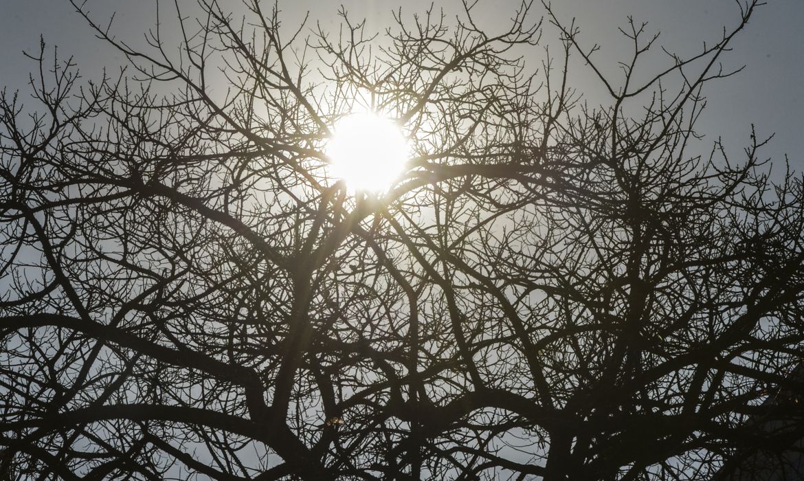 seca_mcajr_abr2807221085