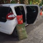 apreensao-maconha-prf