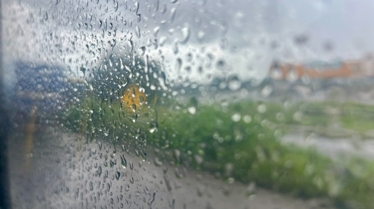 Captura-de-tela-2026-03-05-065506