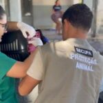 Secupa_resgate-gatos