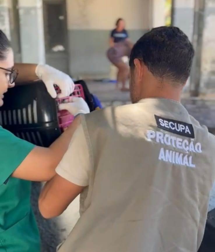 Secupa_resgate-gatos