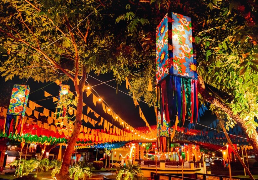 bananeiras-divulgacao