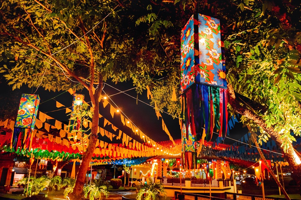 bananeiras-divulgacao