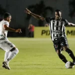 Botafogo-foto-Joao-Neto-696x557