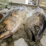 SEDURB_CECAF_Semana_do_Pescado_Fotos_Kleide_Teixeira_08-1024x683