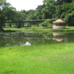 jardim-botanico