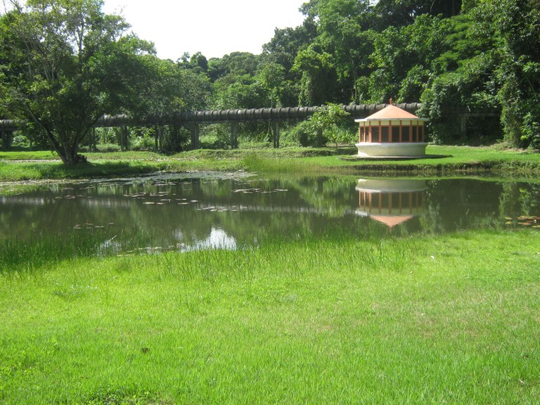 jardim-botanico
