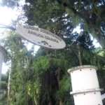 parque-arruda-camara-joao-pessoa-696x522