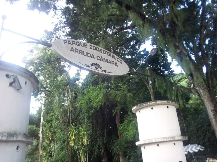 parque-arruda-camara-joao-pessoa-696x522