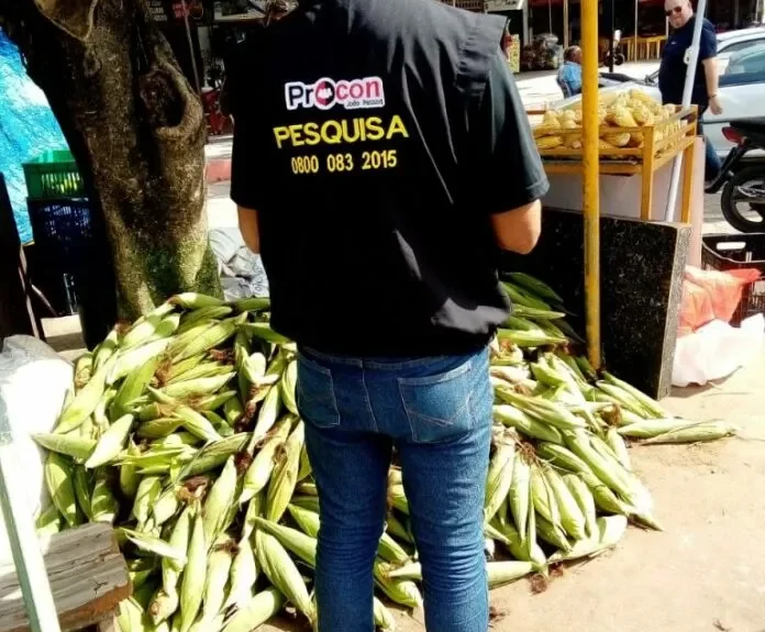 FOTOPESQUISAMILHO1-768x1024-1-696x928