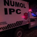 numol-696x522
